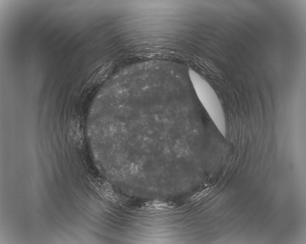 X0000059240607200511111617