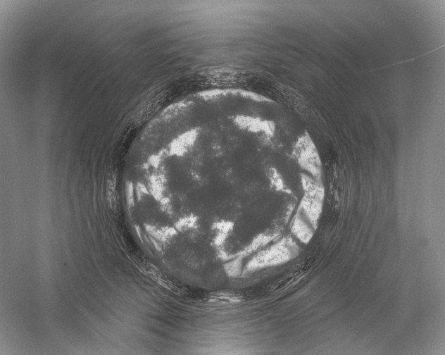 X0000059240610200511111617