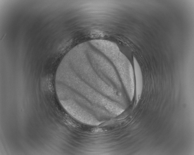 X0000059240616200511111616
