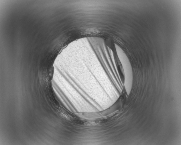 X0000059240617200511111616