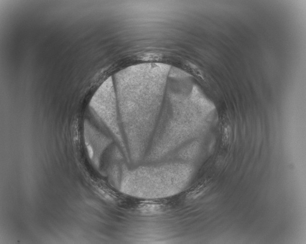 X0000059240620200511111616