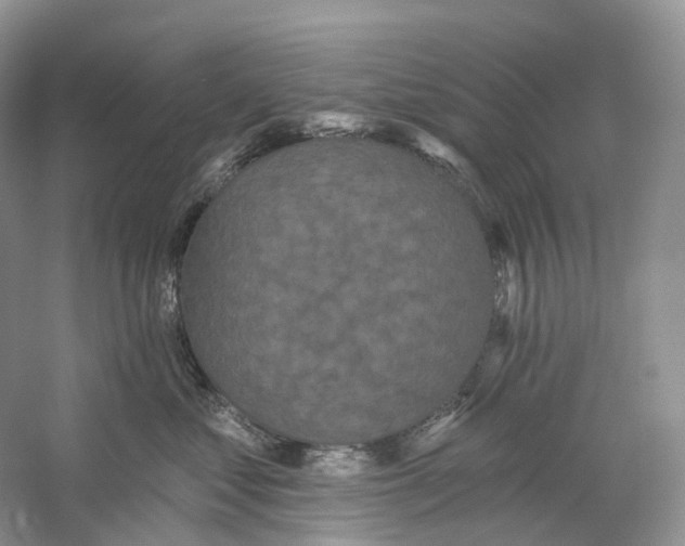 X0000059240621200511111616