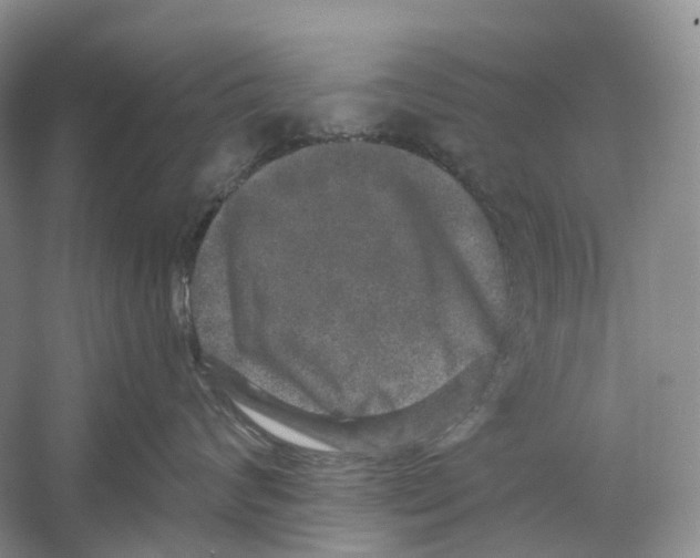 X0000059240624200511111616