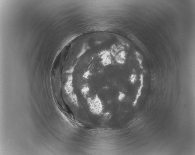 X0000059240626200511111616