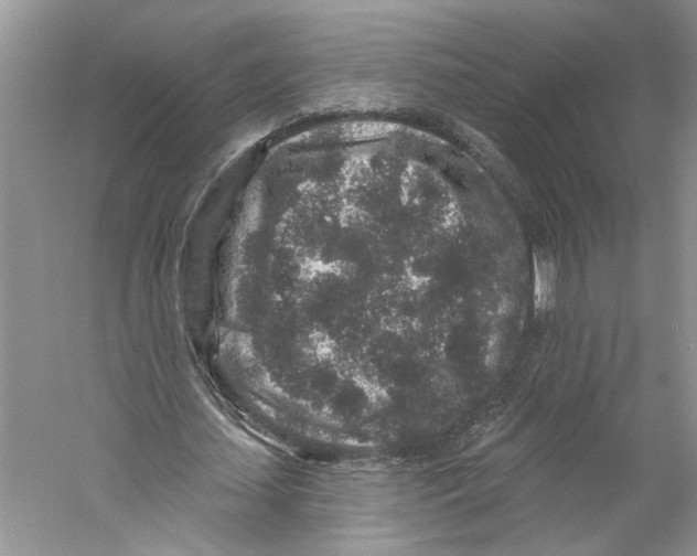 X0000059240627200511111616
