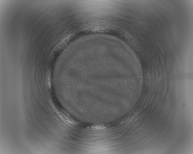X0000059240644200511111616