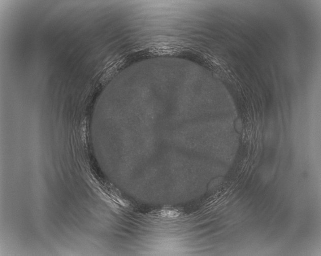 X0000059240647200511111616