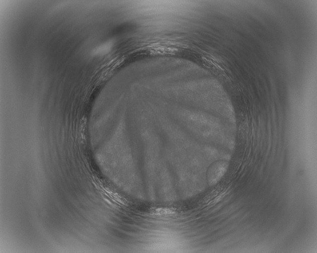 X0000059240649200511111616
