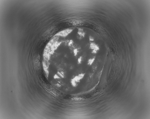 X0000059240650200511111616