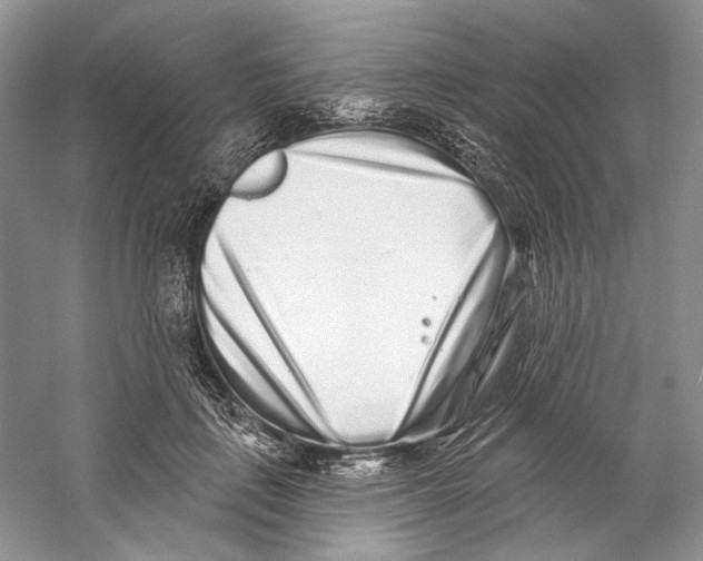X0000059240651200511111616