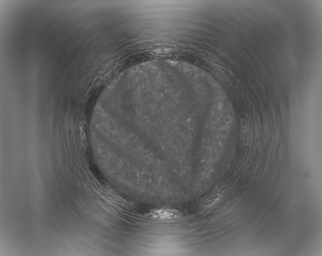 X0000059240654200511111616