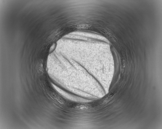 X0000059240655200511111616
