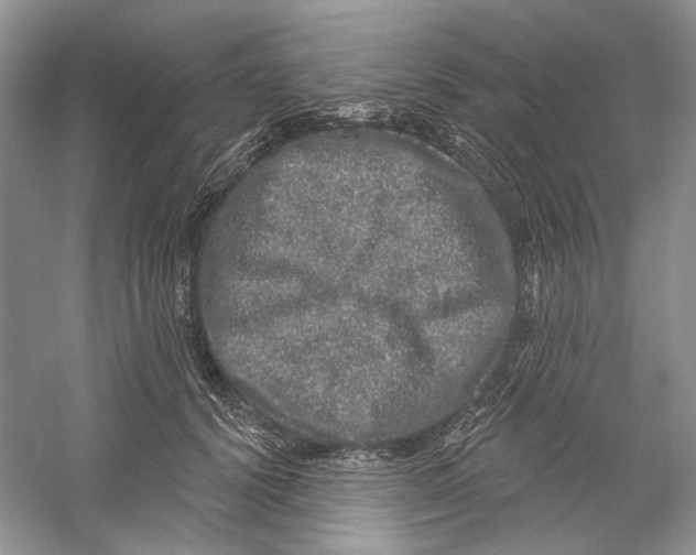 X0000059240656200511111616