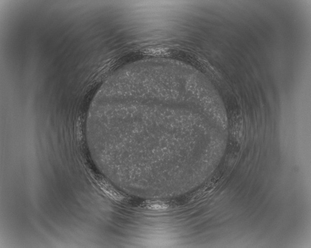 X0000059240658200511111616