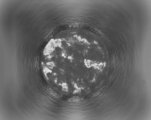 X0000059240661200511111616