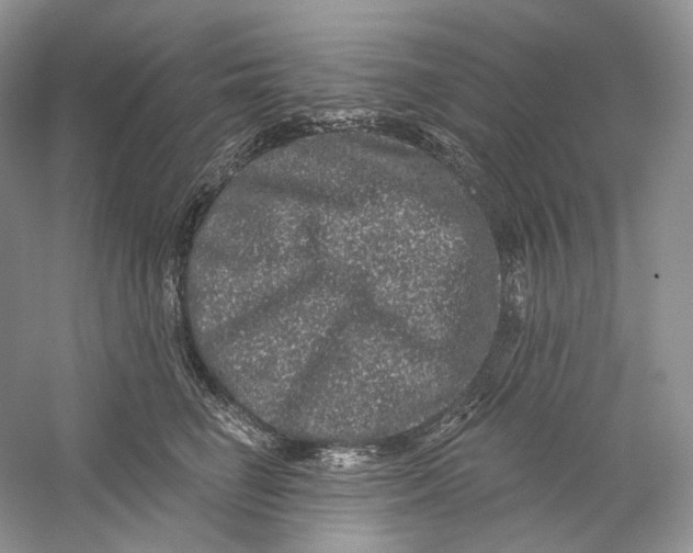 X0000059240662200511111616