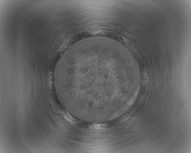 X0000059240664200511111616