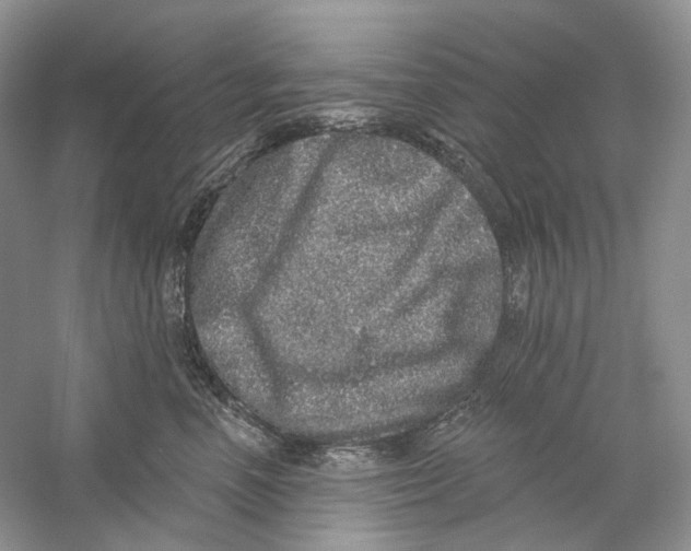 X0000059240666200511111616