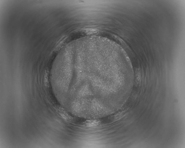 X0000059240667200511111616