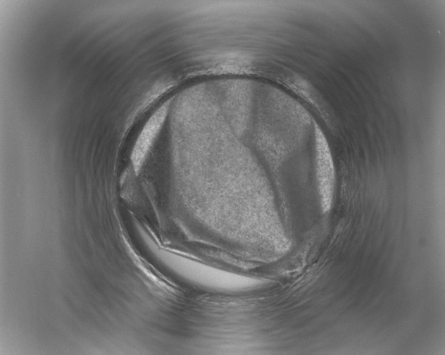 X0000059240677200511111615