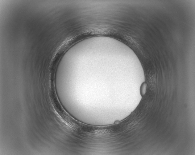 X0000059240686200511111615