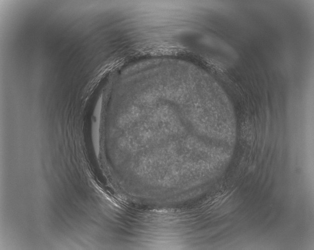 X0000059240687200511111615