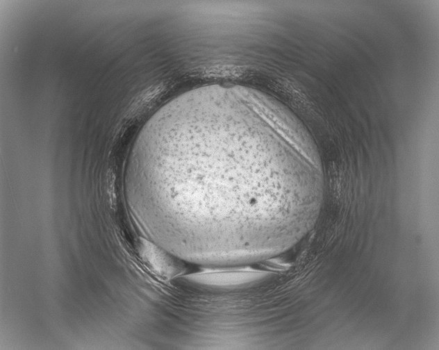 X0000059240692200511111615