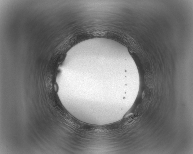 X0000059240697200511111615