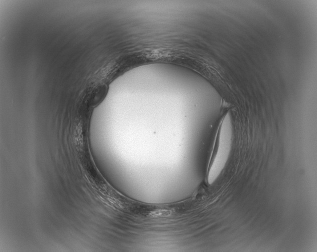 X0000059240700200511111615