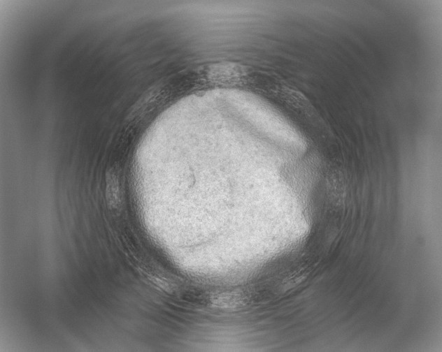 X0000059240705200511111615