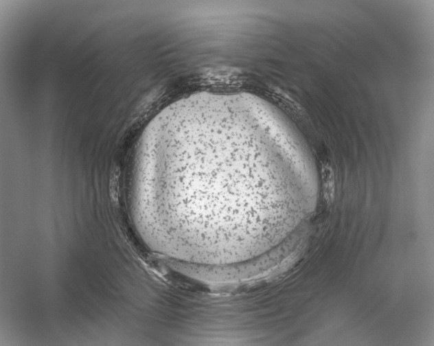 X0000059240712200511111615