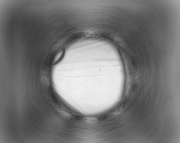 X0000059240719200511111615
