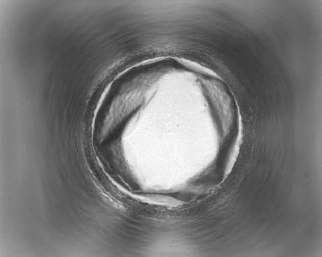 X0000059240725200511111614