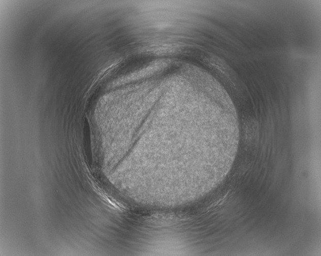 X0000059240733200511111614
