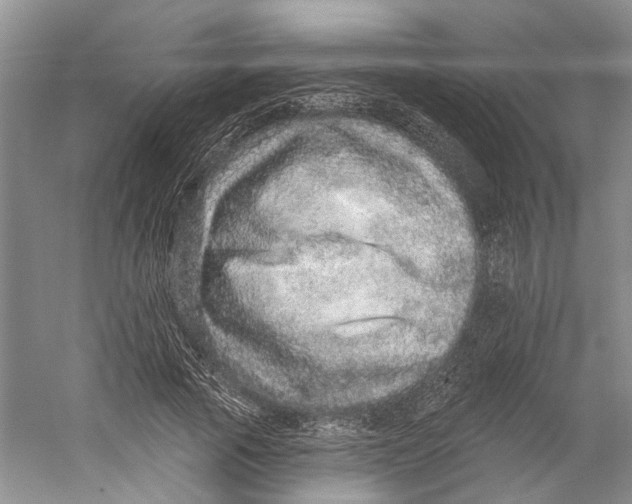X0000059240737200511111614