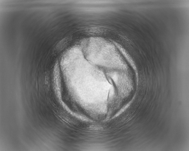 X0000059240749200511111614