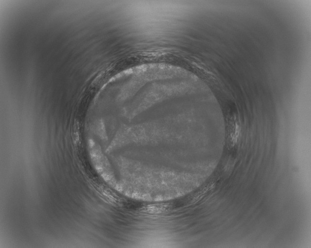 X0000059240758200511111615