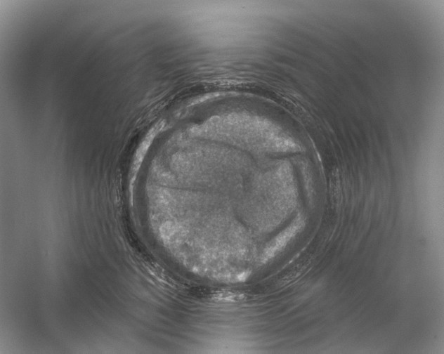 X0000059240760200511111615