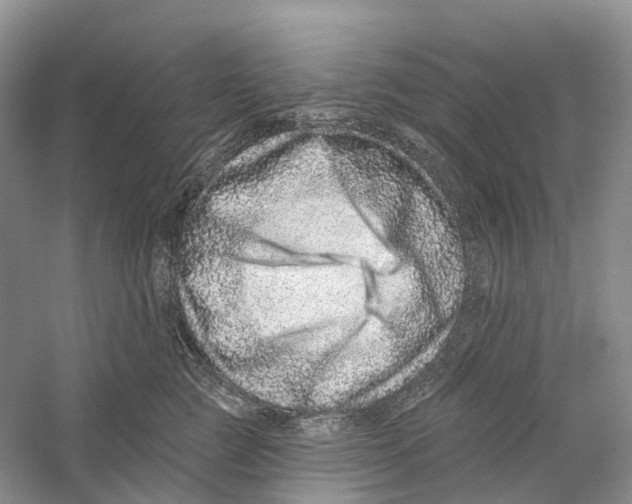 X0000059240761200511111615