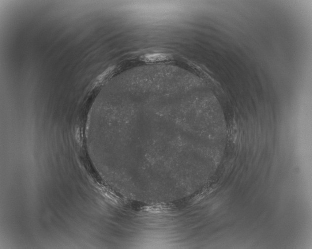 X0000059240763200511111615