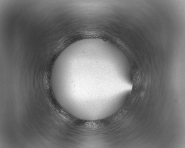 X0000059240764200511111615