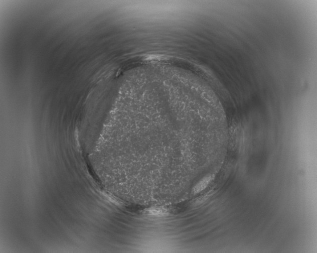 X0000059240765200511111615