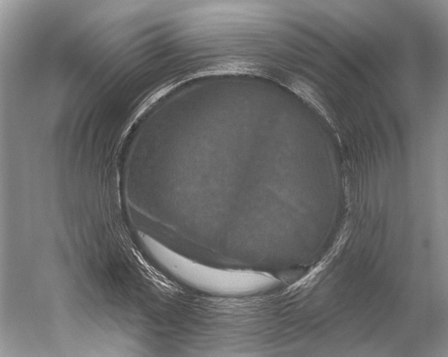 X0000059240781200511111614