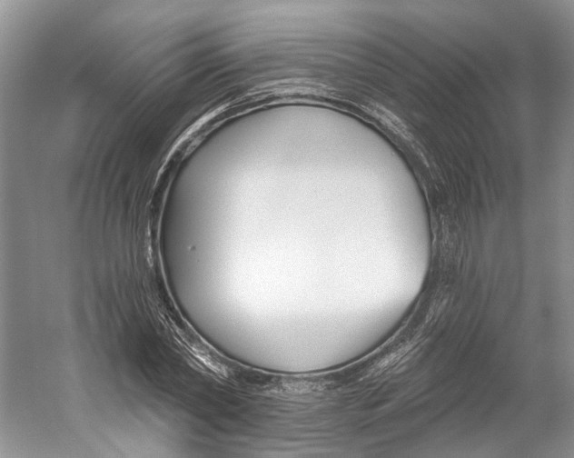 X0000059240782200511111614