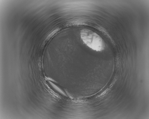 X0000059240785200511111614