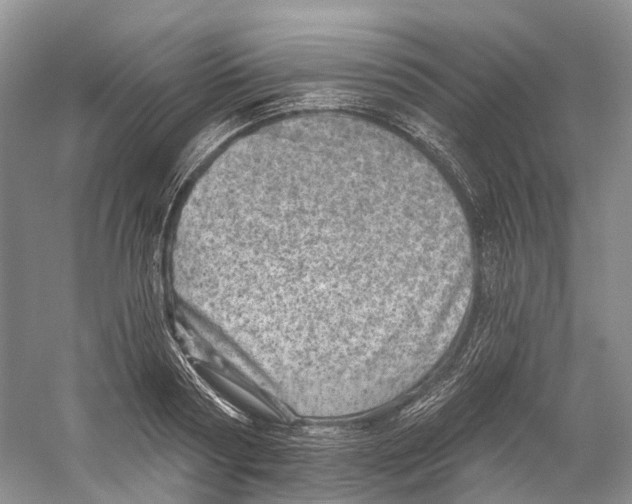 X0000059240794200511111613