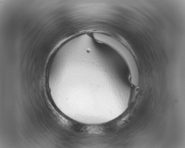 X0000059240803200511111613