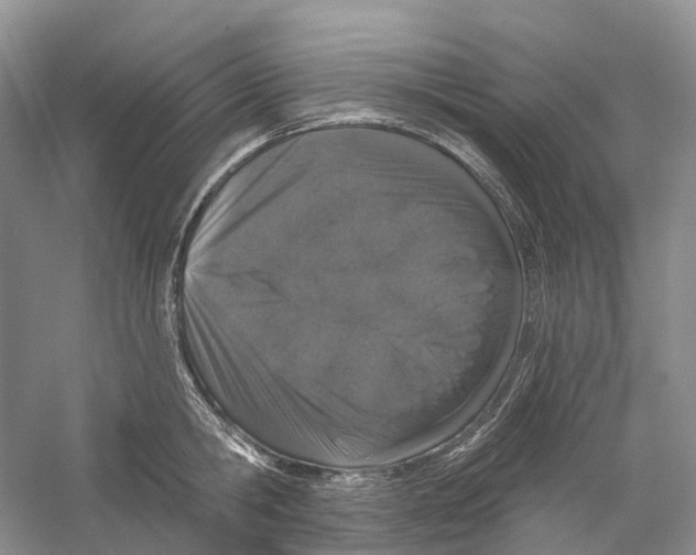 X0000059240806200511111613