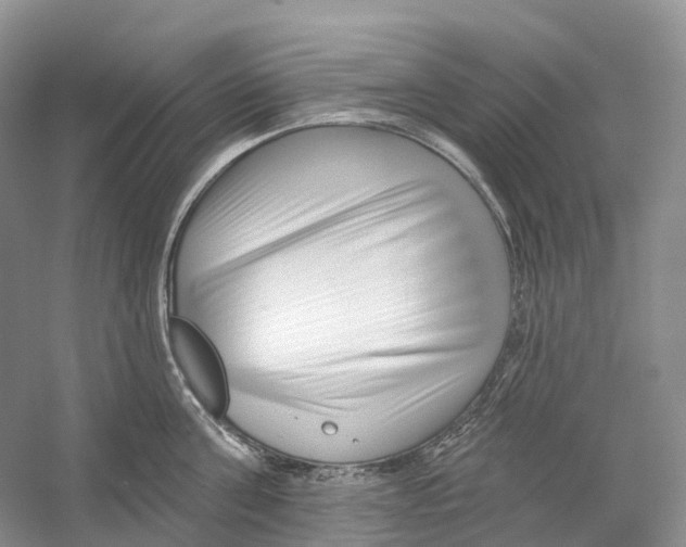 X0000059240811200511111613