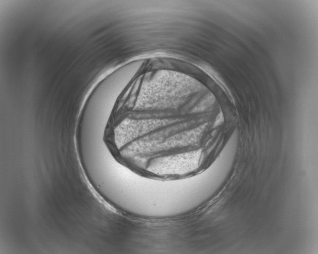 X0000059240813200511111613